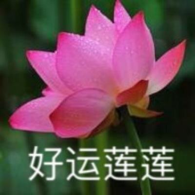 战龙在野百度版免费下载